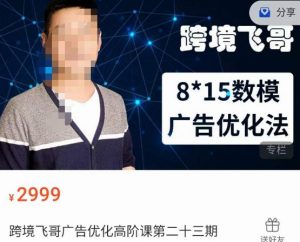 跨境飞哥·广告优化高阶课第二十三期，​8*15数模广告优化法，用数据驱动决策-吗喽副业资源站