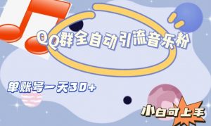 QQ群全自动引流音乐粉，单账号一天轻松引流30+-吗喽副业资源站