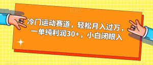冷门运动赛道，轻松月入过万，一单纯利润30+，小白闭眼入【揭秘】-吗喽副业资源站