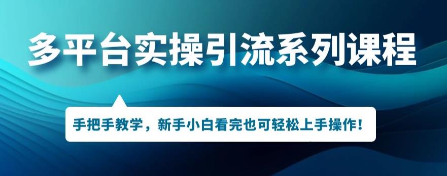 多平台引流实操系列课程，新手小白看完也可轻松上手进行引流操作-吗喽副业资源站