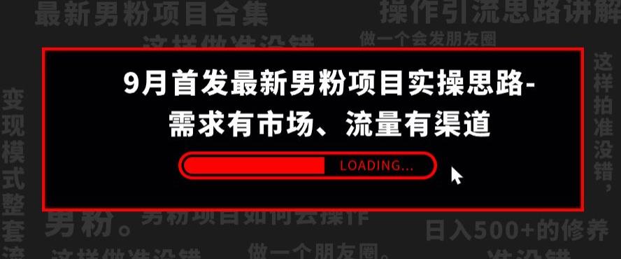 9月首发最新男粉项目实操思路-需求有市场，流量有渠道【揭秘】-吗喽副业资源站