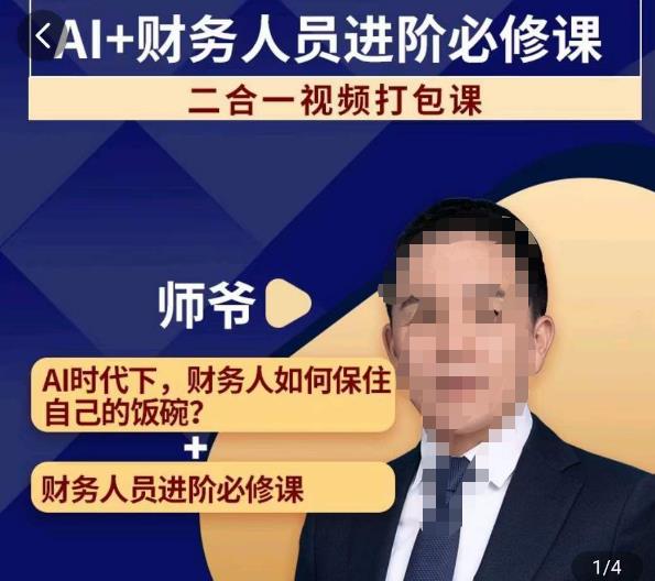 AI+财务人员进阶必修课二合一视频打包课，财务人员进阶必修课-吗喽副业资源站