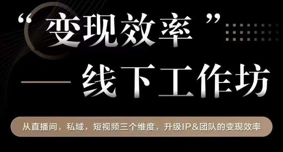 变现效率线下工作坊，从‮播直‬间、私域、‮视短‬频‮个三‬维度，升级IP和团队变现效率-吗喽副业资源站
