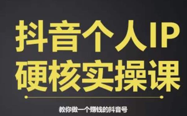 个人IP创富系统实战课，商业定位，流量打造，短视频变现，教你做个赚钱的抖音号-吗喽副业资源站