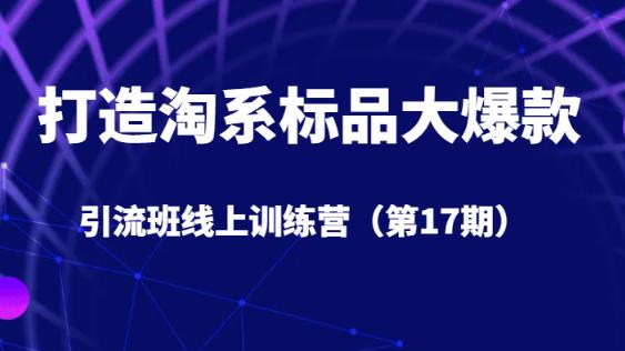 打造淘系标品大爆款引流班线上训练营（第17期）5天直播授课-吗喽副业资源站