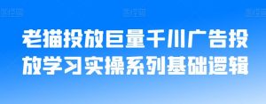 老猫投放巨量千川广告投放学习实操系列基础逻辑-吗喽副业资源站