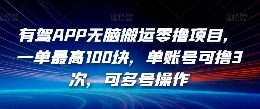 有驾APP无脑搬运零撸项目，一单最高100块，单账号可撸3次，可多号操作【揭秘】-吗喽副业资源站
