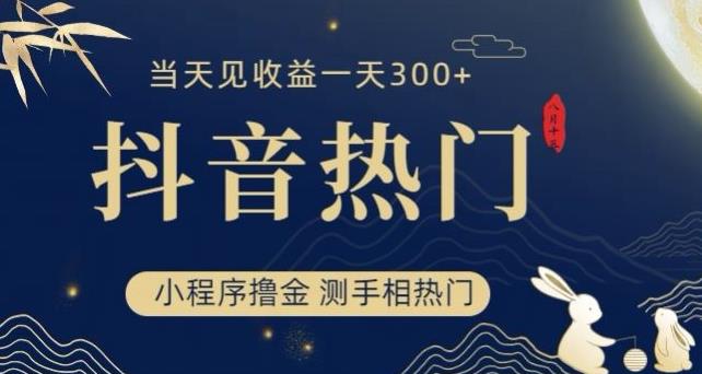 抖音最新小程序撸金，测手相上热门，当天见收益一小时变现300+【揭秘】-吗喽副业资源站