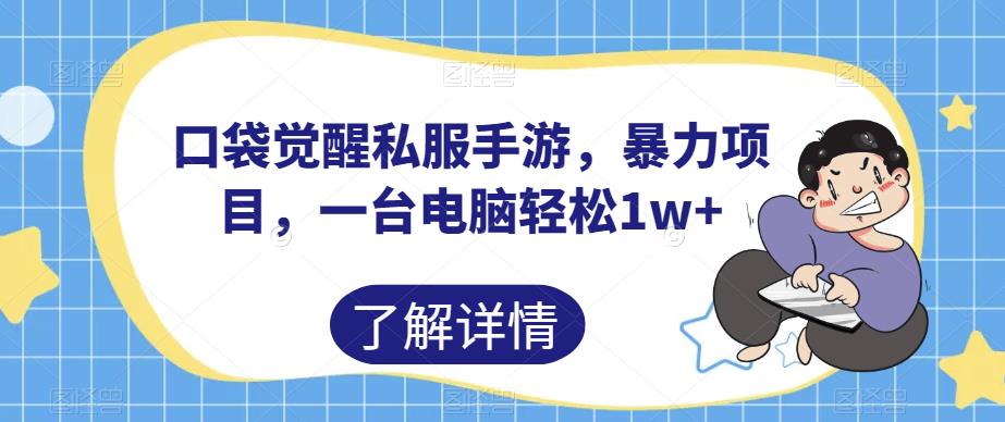 口袋觉醒私服手游，暴力项目，一台电脑轻松1w+【揭秘】-吗喽副业资源站