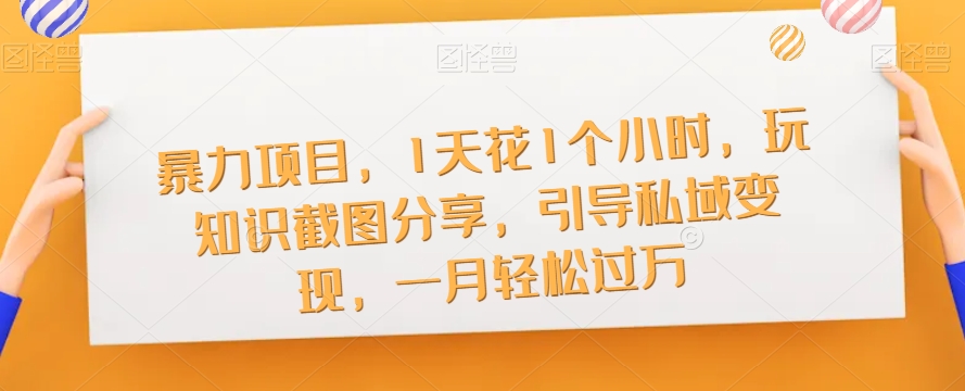 暴力项目，1天花1个小时，玩知识截图分享，引导私域变现，一月轻松过万【截图】-吗喽副业资源站