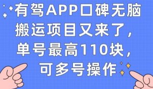 有驾APP口碑无脑搬运项目又来了，单号最高110块，可多号操作-吗喽副业资源站