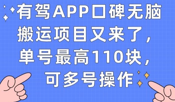 有驾APP口碑无脑搬运项目又来了，单号最高110块，可多号操作-吗喽副业资源站