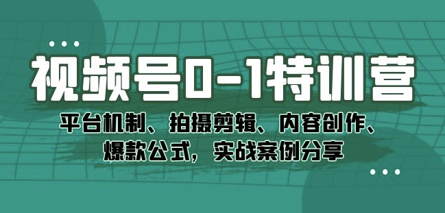 视频号0-1特训营：平台机制、拍摄剪辑、内容创作、爆款公式，实战案例分享-吗喽副业资源站