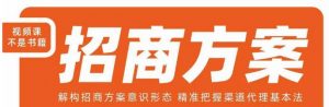 王昕招商方案，解构招商方案意识形态，精准把握渠道代理基本法-吗喽副业资源站