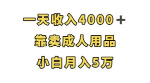 一天收入4000+，靠卖成人用品，小白轻松月入5万【揭秘】-吗喽副业资源站