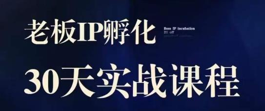诸葛·2023老板IP实战课，实体同城引流获客，IP孵化必听-吗喽副业资源站