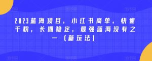 2023蓝海项目，小红书商单，快速千粉，长期稳定，最强蓝海没有之一（新玩法）-吗喽副业资源站