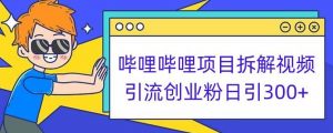 哔哩哔哩项目拆解引流创业粉日引300+小白可轻松上手【揭秘】-吗喽副业资源站