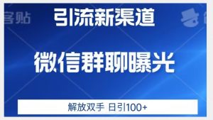 价值2980的全新微信引流技术，只有你想不到，没有做不到【揭秘】-吗喽副业资源站