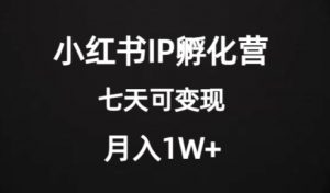 价值2000+的小红书IP孵化营项目，超级大蓝海，七天即可开始变现，稳定月入1W+-吗喽副业资源站