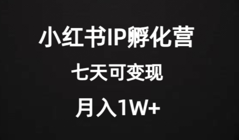 价值2000+的小红书IP孵化营项目，超级大蓝海，七天即可开始变现，稳定月入1W+-吗喽副业资源站