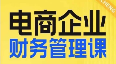 电商企业财务管理线上课，为电商企业规划财税-吗喽副业资源站