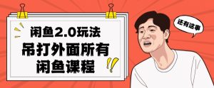 闲鱼2.0玩法单号每天日入2000，吊打市面所有课程-吗喽副业资源站