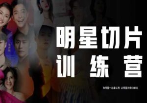 王子·明星切片线上训练营（2023），和明星一起拿红利，让明星为我们赚钱-吗喽副业资源站