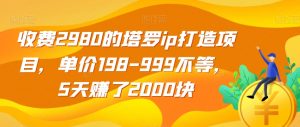 收费2980的塔罗ip打造项目，单价198-999不等，5天赚了2000块【揭秘】-吗喽副业资源站