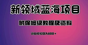 虚拟资源蓝海领域新项目，轻松日入800＋，附保姆级教程及资料-吗喽副业资源站