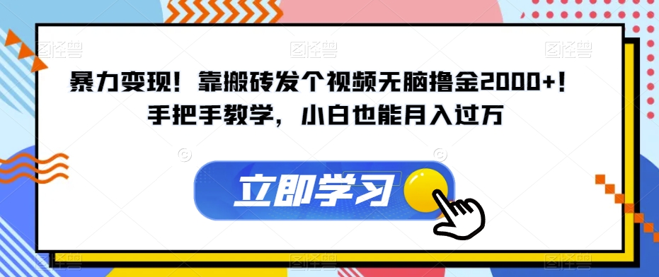 暴力变现！靠搬砖发个视频无脑撸金2000+！手把手教学，小白也能月入过万【揭秘】-吗喽副业资源站