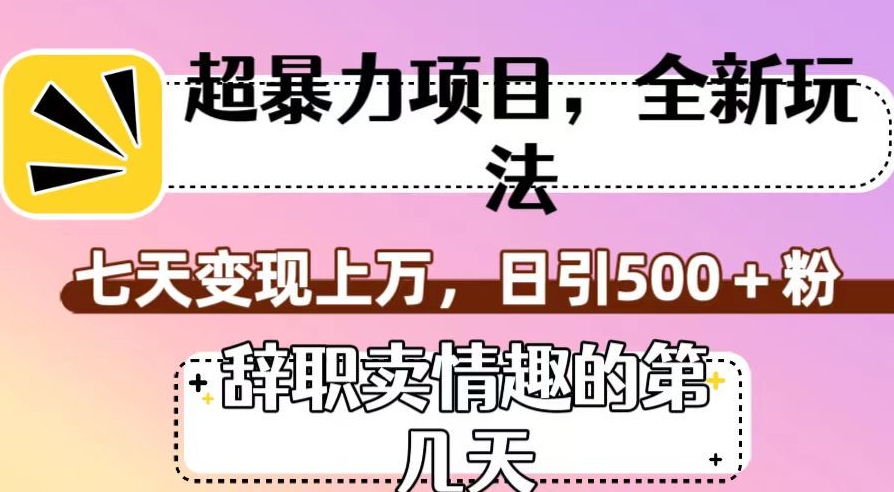 超暴利项目，全新玩法（辞职卖情趣的第几天），七天变现上万，日引500+粉【揭秘】-吗喽副业资源站