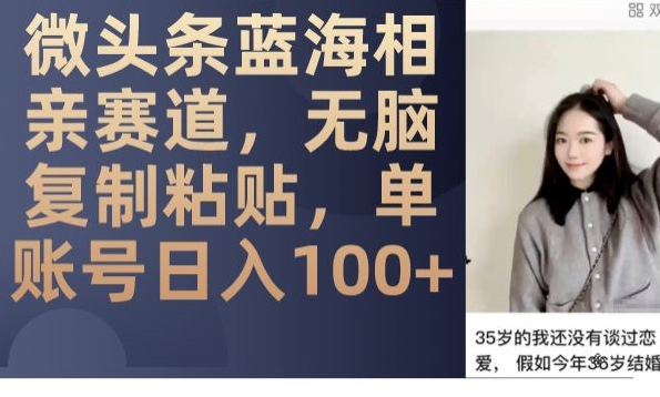 微头条蓝海相亲赛道，无脑复制粘贴，单账号日入100+-吗喽副业资源站