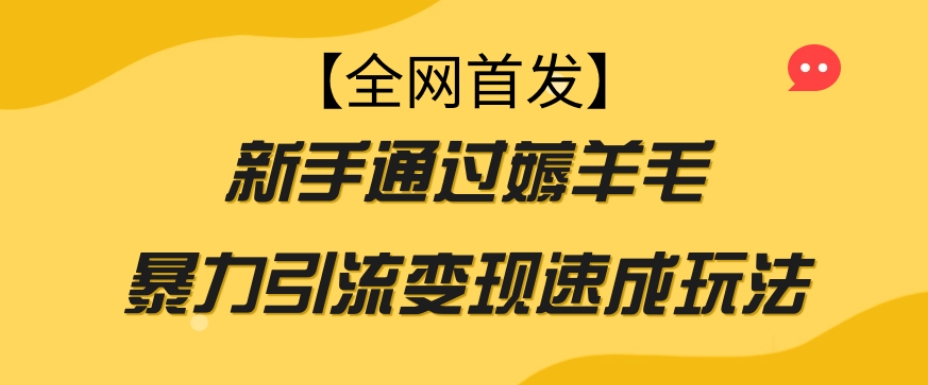 【全网首发】新手通过薅羊毛暴力引流变现速成玩法-吗喽副业资源站