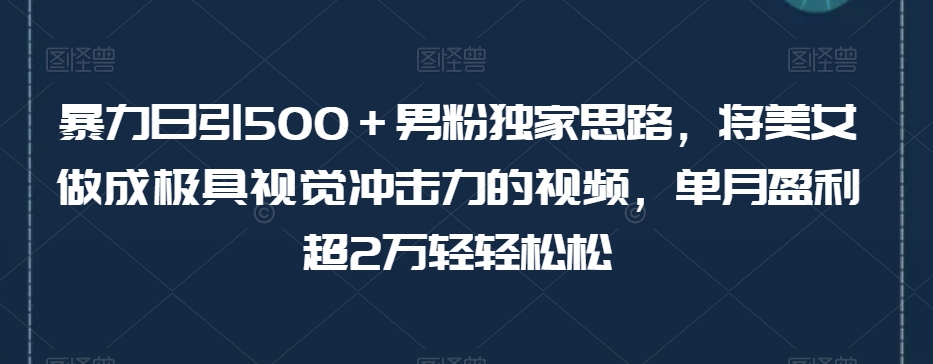 暴力日引500＋男粉独家思路，将美女做成极具视觉冲击力的视频，单月盈利超2万轻轻松松-吗喽副业资源站