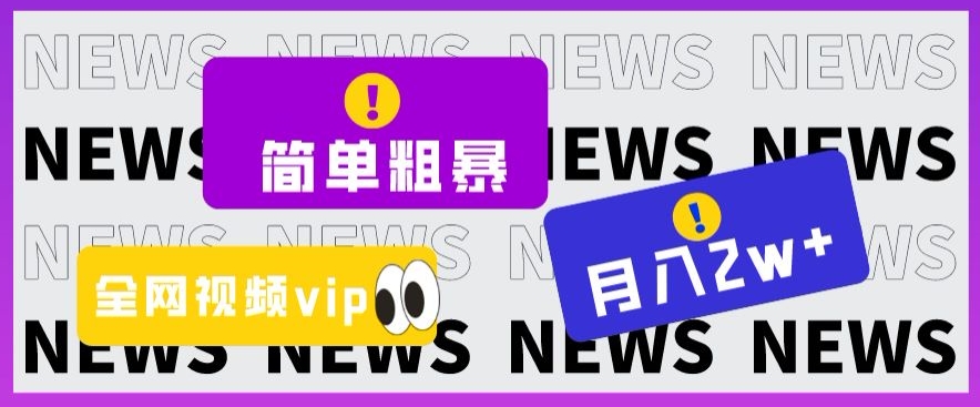 简单粗暴零成本，高回报，全网视频VIP掘金项目，月入2万＋【揭秘】-吗喽副业资源站