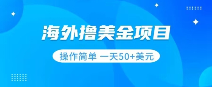 撸美金项目无门槛操作简单小白一天50+美刀-吗喽副业资源站