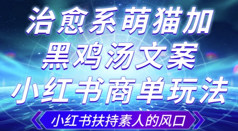 治愈系萌猫加+黑鸡汤文案，小红书商单玩法，3~10天涨到1000粉，一单200左右-吗喽副业资源站