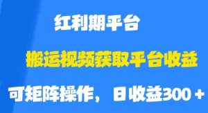 搬运视频获取平台收益，平台红利期，附保姆级教程【揭秘】-吗喽副业资源站