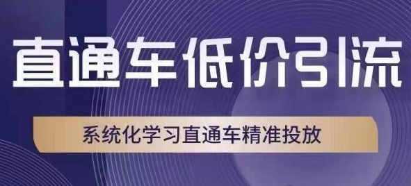 直通车低价引流课，系统化学习直通车精准投放-吗喽副业资源站
