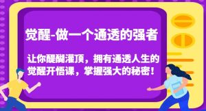 觉醒-做一个通透的强者,让你醍醐灌顶,拥有通透人生的觉醒开悟课,掌握强大的秘密!-吗喽副业资源站