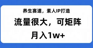 养生赛道,素人IP打造,流量很大,可矩阵,月入1w+【揭秘】-吗喽副业资源站
