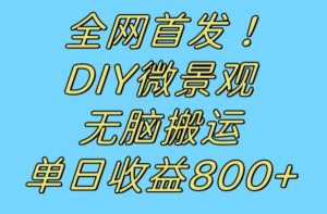全网首发冷门赛道!DIY微景观,无脑搬运视频,日收益800+【揭秘】-吗喽副业资源站