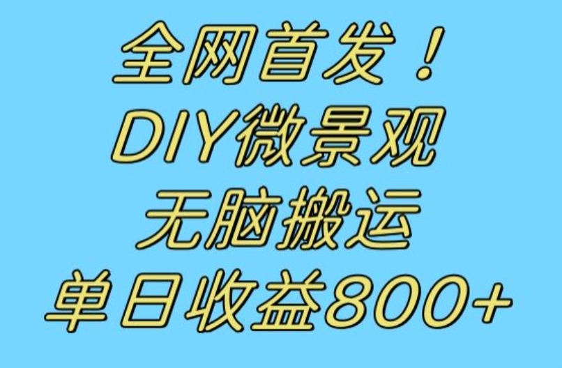 全网首发冷门赛道！DIY微景观，无脑搬运视频，日收益800+【揭秘】-吗喽副业资源站