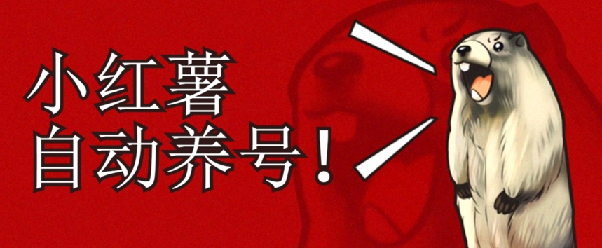 小红书养号秘籍，如何自动涨粉清晰系统标签打造高权重账号【揭秘】-吗喽副业资源站