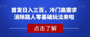 首发日入三百，冷门高需求消除路人零基础玩法来啦【揭秘】-吗喽副业资源站