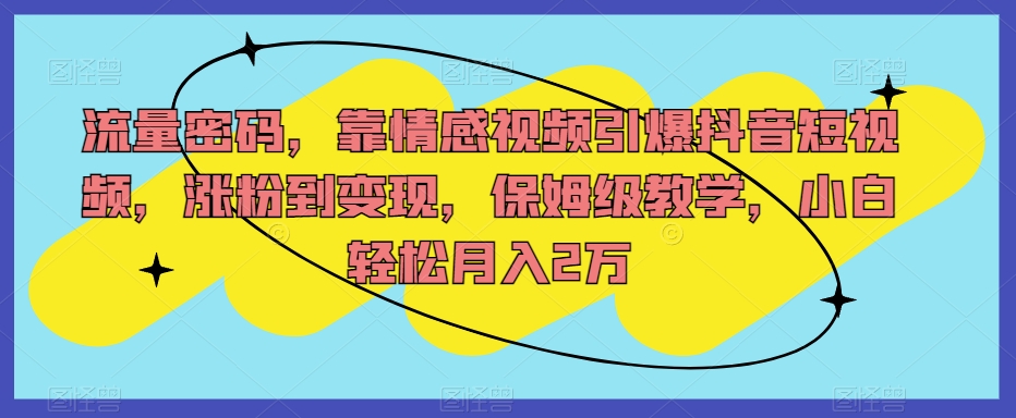 流量密码，靠情感视频引爆抖音短视频，涨粉到变现，保姆级教学，小白轻松月入2万【揭秘】-吗喽副业资源站