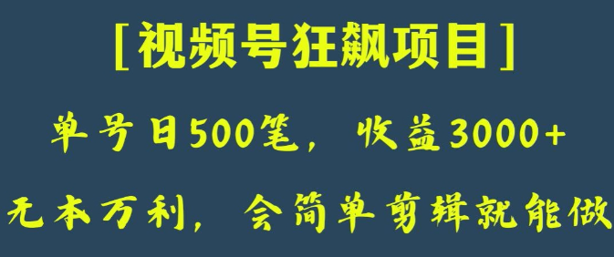 日收款500笔，纯利润3000+，视频号狂飙项目，会简单剪辑就能做【揭秘】-吗喽副业资源站
