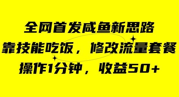 咸鱼冷门新玩法，靠“技能吃饭”，修改流量套餐，操作1分钟，收益50【揭秘】-吗喽副业资源站