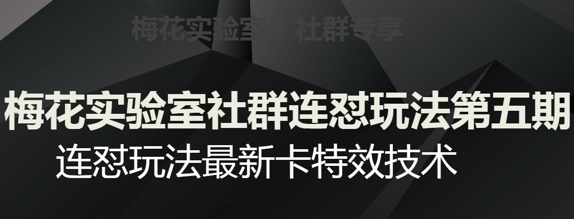 梅花实验室社群连怼玩法第五期，视频号连怼玩法最新卡特效技术-吗喽副业资源站